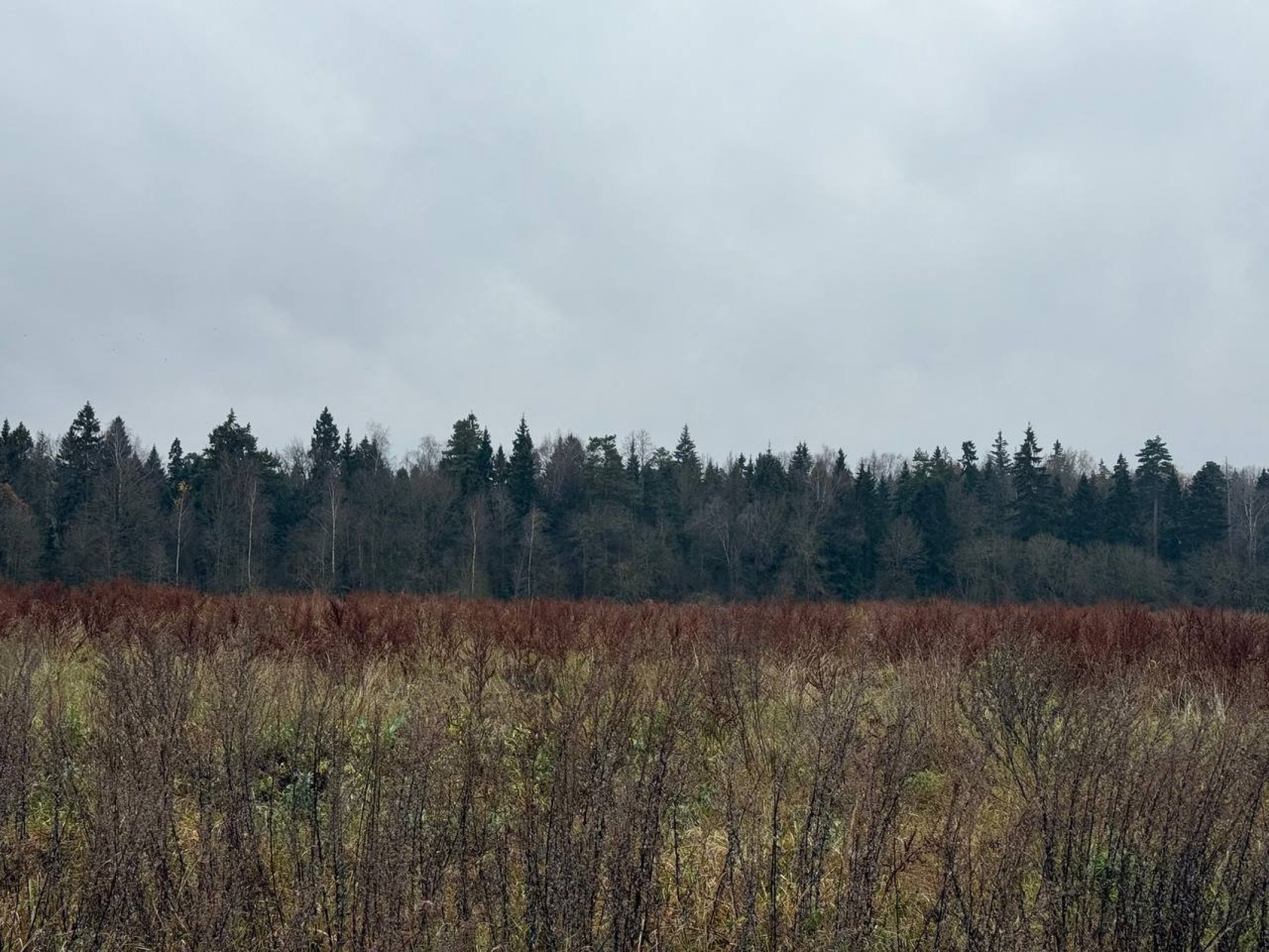 2-этажный коттедж, 381,4  м²