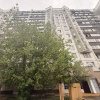 2-комн. квартира, 55 м²