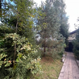 Московская область,&nbsp;Истра муниципальный округ,&nbsp;Крючково деревня

&nbsp;

Общая площадь:...